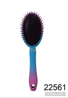 Imagen de CEPILLO DE PELO OVALADO BICOLOR 24.5X8CM 2.26